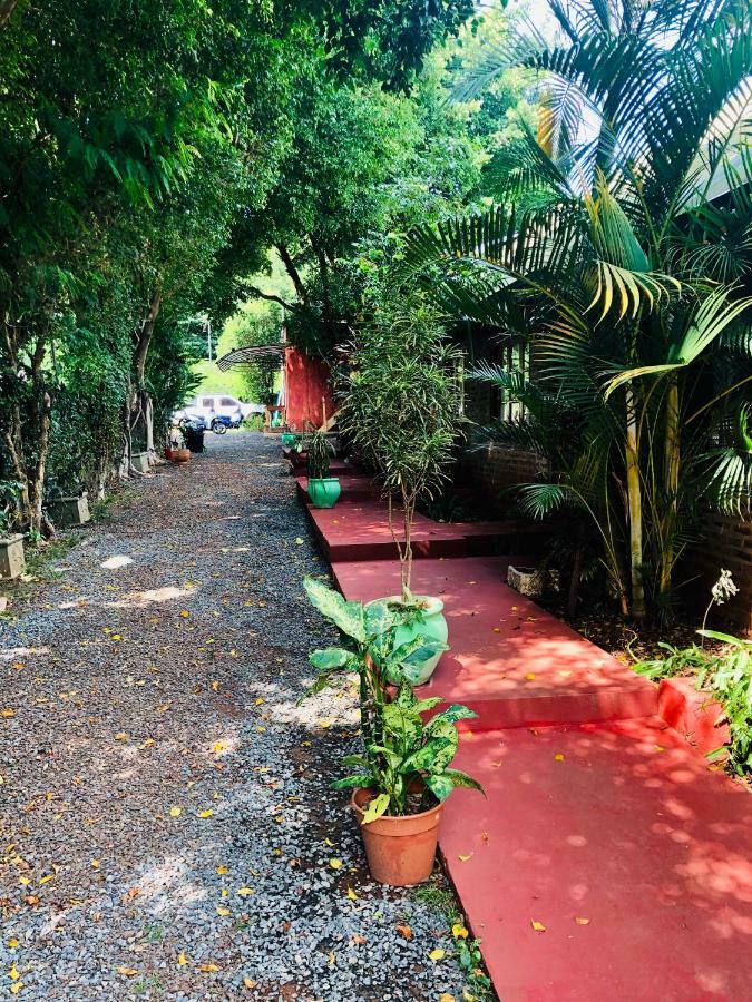 Cabanas Laboulaye Puerto Iguazú Exteriör bild